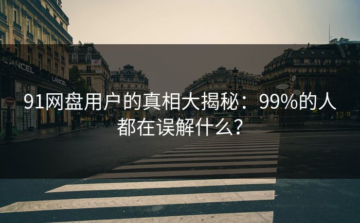 91网盘用户的真相大揭秘：99%的人都在误解什么？