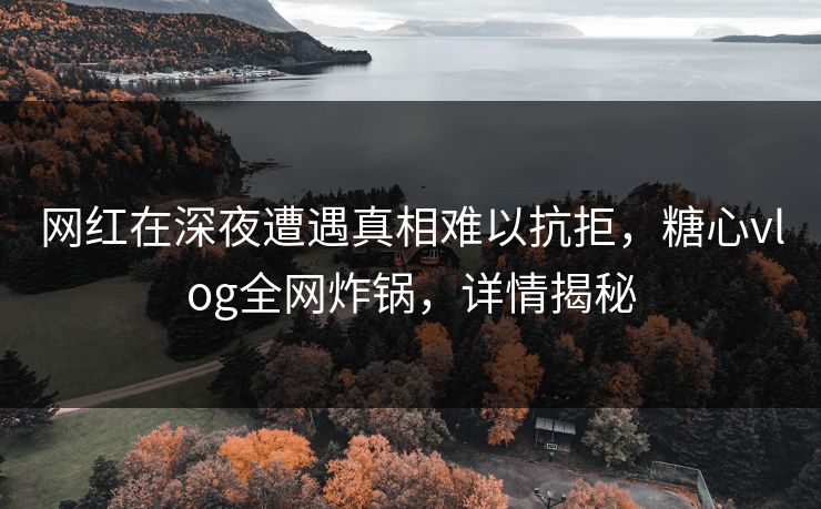 网红在深夜遭遇真相难以抗拒，糖心vlog全网炸锅，详情揭秘