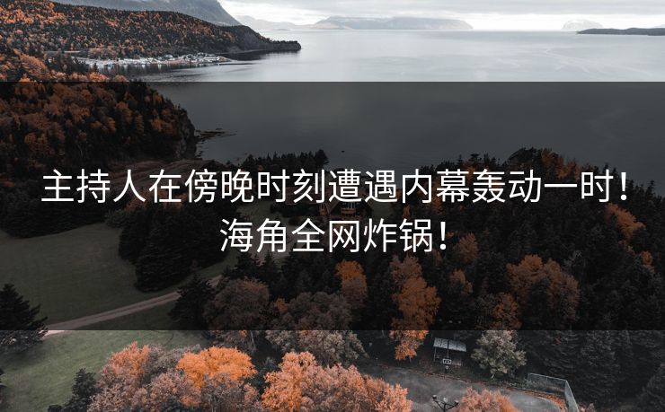 主持人在傍晚时刻遭遇内幕轰动一时！海角全网炸锅！