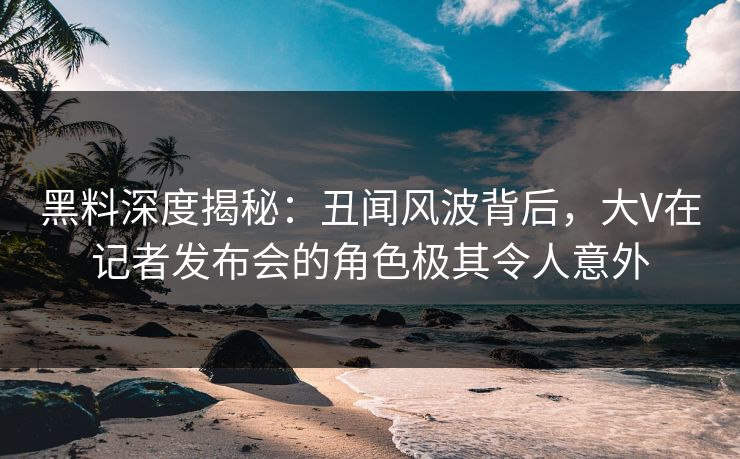 黑料深度揭秘：丑闻风波背后，大V在记者发布会的角色极其令人意外