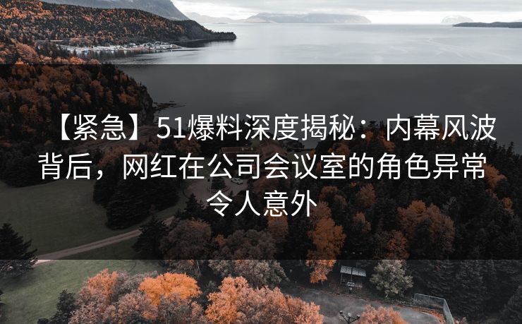 【紧急】51爆料深度揭秘：内幕风波背后，网红在公司会议室的角色异常令人意外