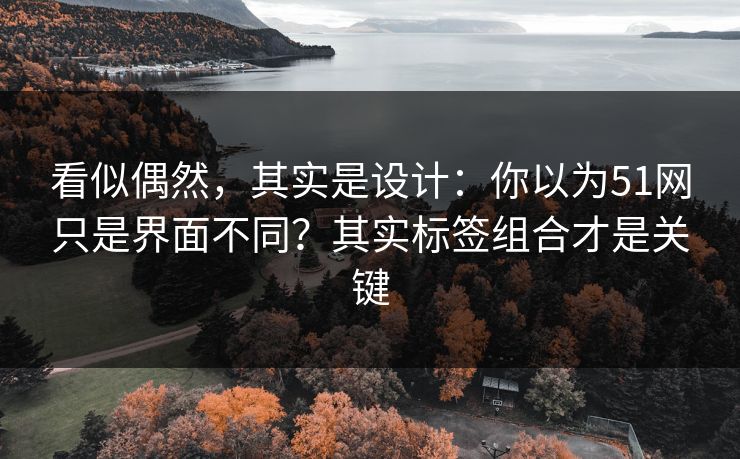 看似偶然，其实是设计：你以为51网只是界面不同？其实标签组合才是关键