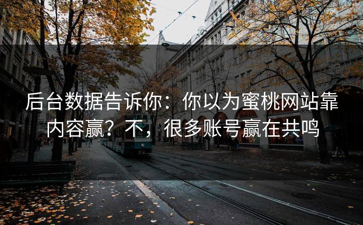 后台数据告诉你：你以为蜜桃网站靠内容赢？不，很多账号赢在共鸣